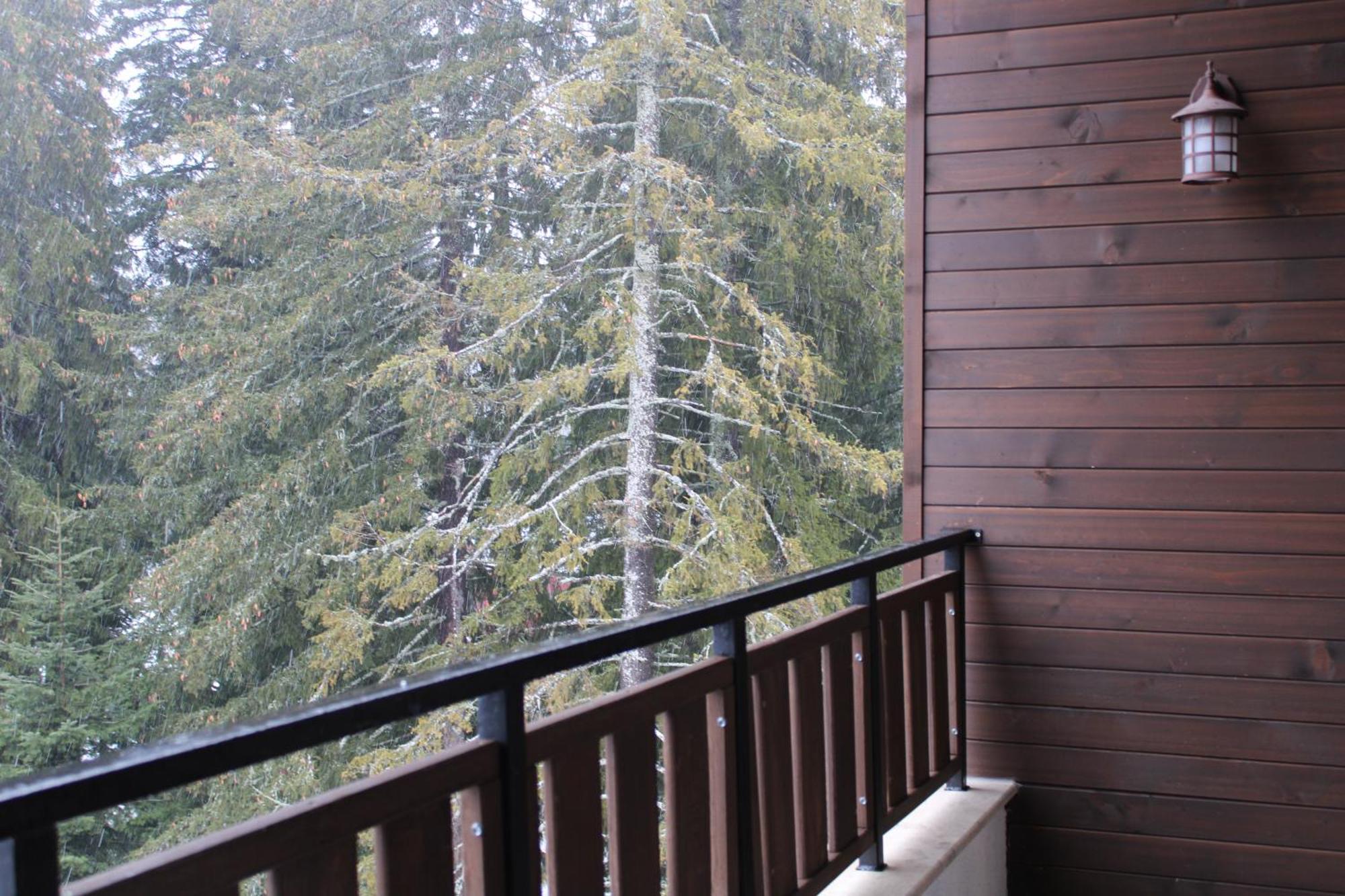 Mountain Studio Asp E63 Borovets Gardens Zewnętrze zdjęcie