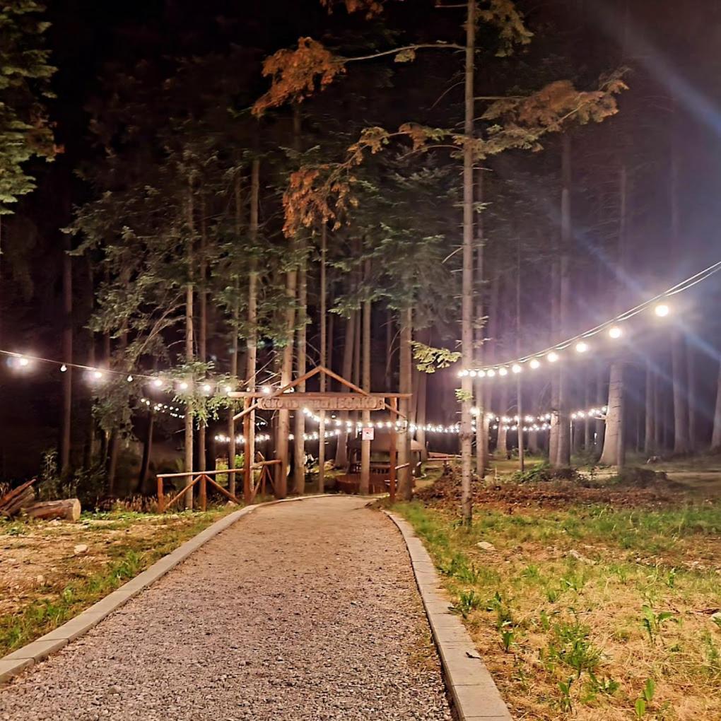 Mountain Studio Asp E63 Borovets Gardens Zewnętrze zdjęcie