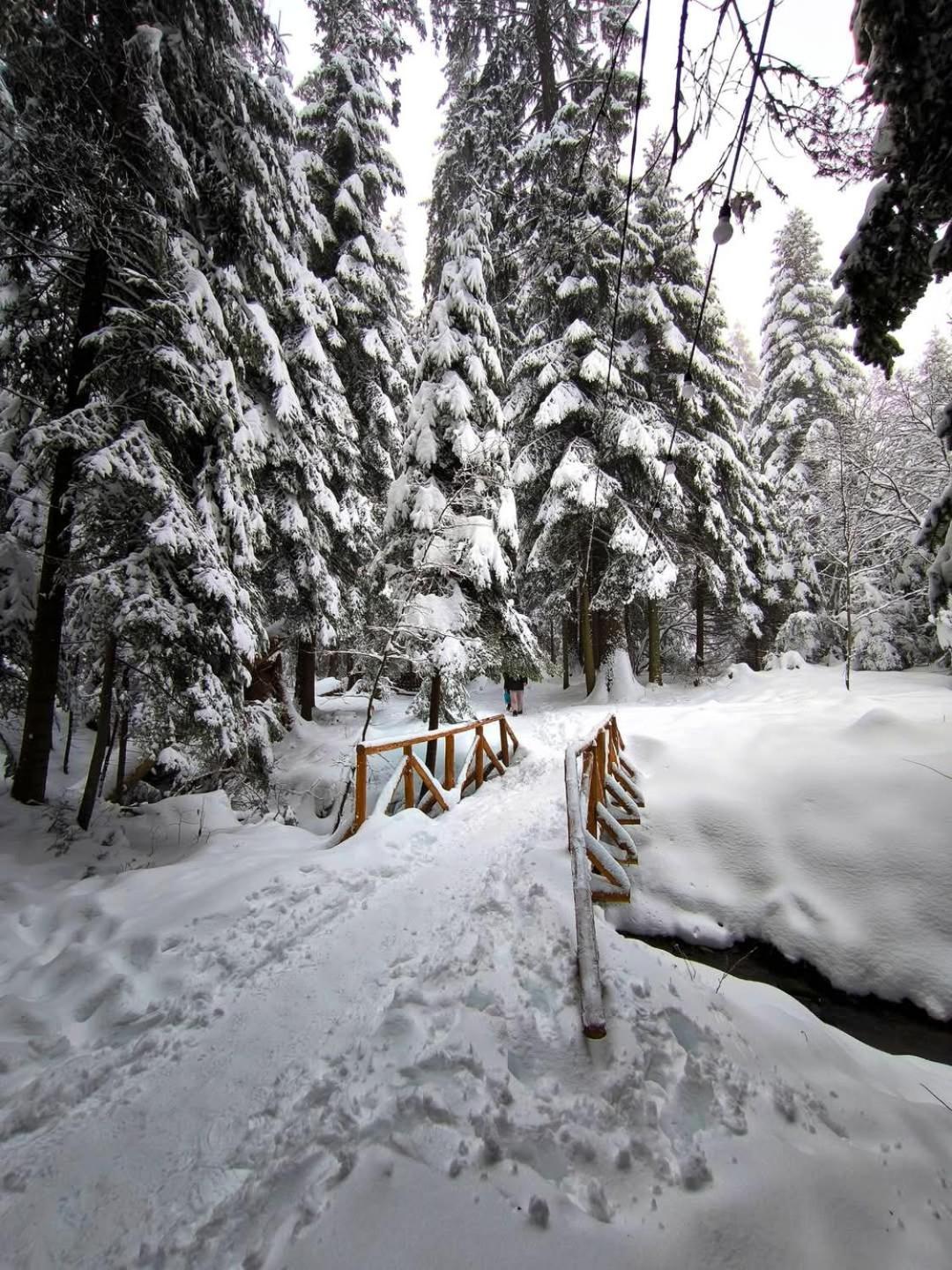 Mountain Studio Asp E63 Borovets Gardens Zewnętrze zdjęcie